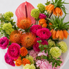 Apricot Atelier