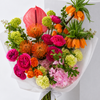 Apricot Atelier