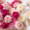100 Bloom Basket - Im Sorry Flowers