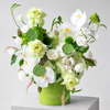 Lime & Ivory