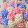 Hydrangea Heaven | Oversized Floral Basket