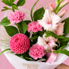 Wild Romance | Small Congradulations Bouquet