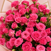 Pink Drama | Birthday Spray Rose Bouquet for Same Day Delivery