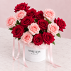 Raspberry Sorbet Box