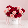 Raspberry Sorbet Box
